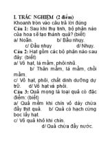 Đề thi học kỳ II môn Sinh học Lớp 6 (Có đáp án)
